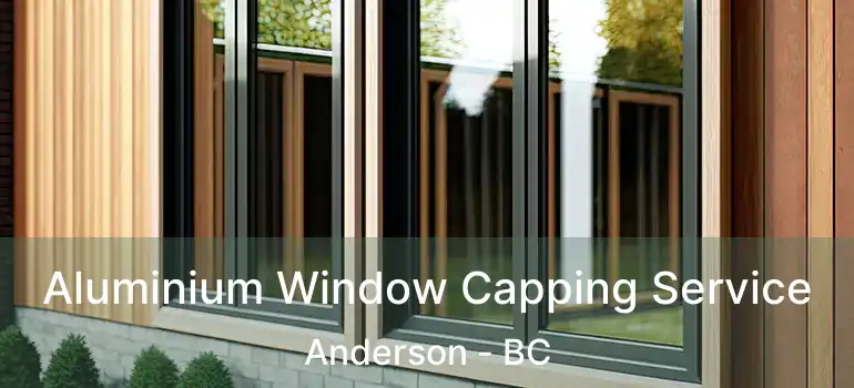  Aluminium Window Capping Service Anderson - BC