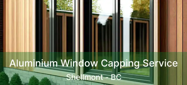  Aluminium Window Capping Service Shellmont - BC