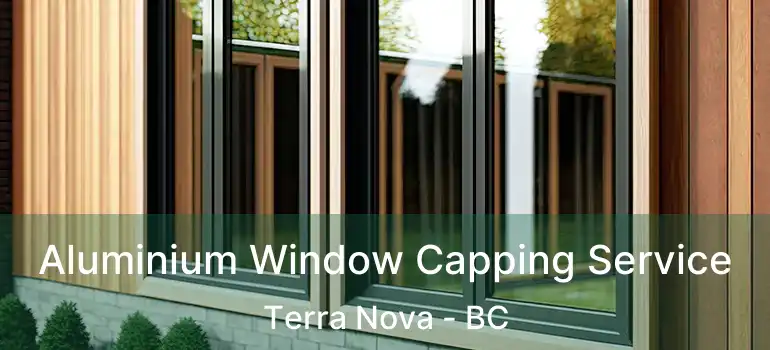  Aluminium Window Capping Service Terra Nova - BC