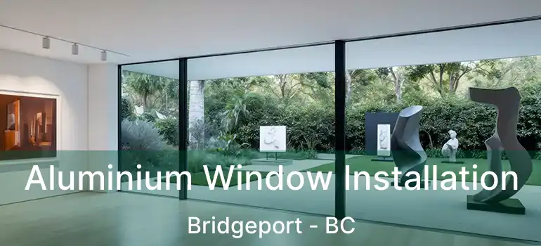  Aluminium Window Installation Bridgeport - BC
