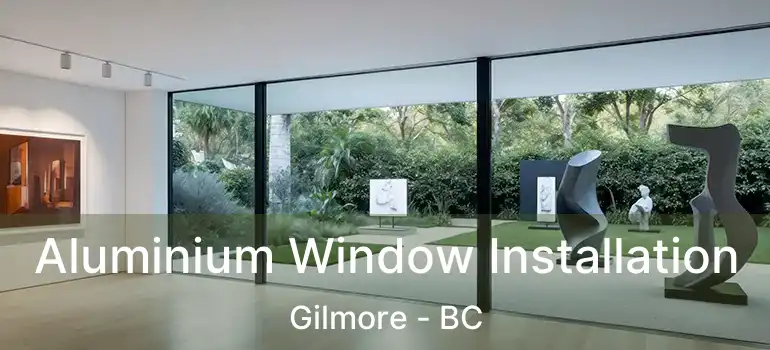  Aluminium Window Installation Gilmore - BC