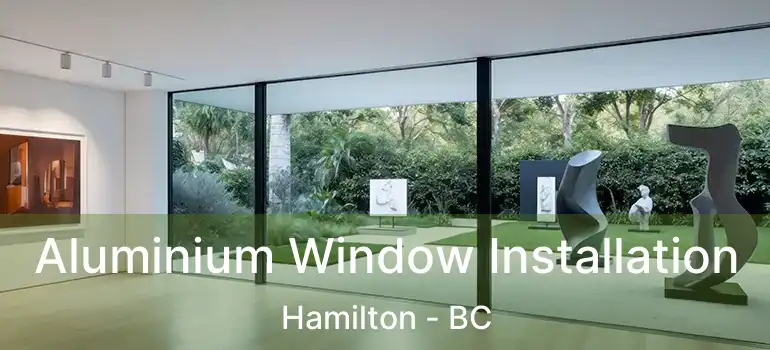  Aluminium Window Installation Hamilton - BC