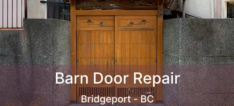  Barn Door Repair Bridgeport - BC