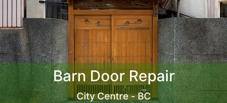  Barn Door Repair City Centre - BC