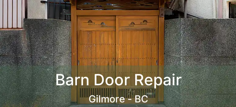  Barn Door Repair Gilmore - BC