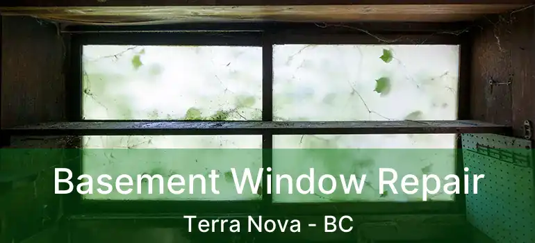  Basement Window Repair Terra Nova - BC