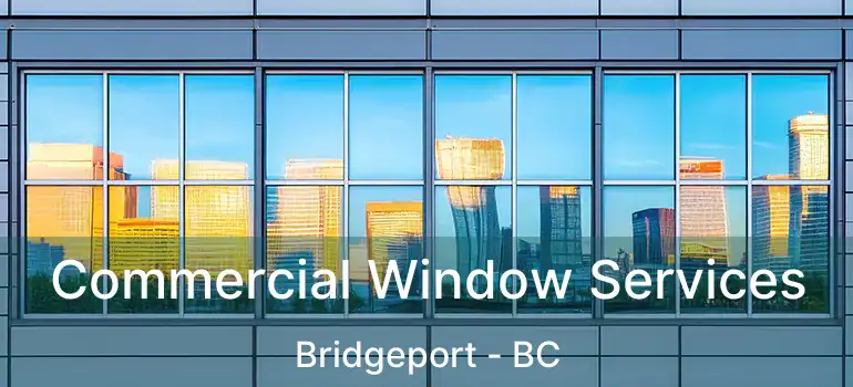  Commercial Window Services Bridgeport - BC