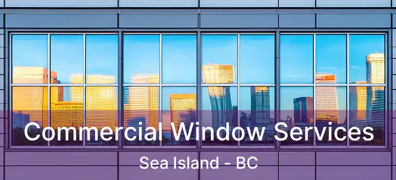  Commercial Window Services Sea Island - BC