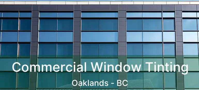  Commercial Window Tinting Oaklands - BC