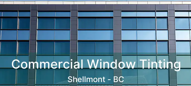  Commercial Window Tinting Shellmont - BC