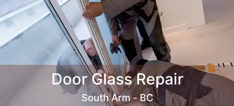  Door Glass Repair South Arm - BC