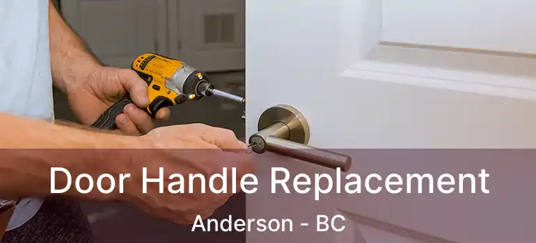  Door Handle Replacement Anderson - BC