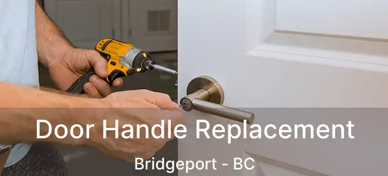  Door Handle Replacement Bridgeport - BC