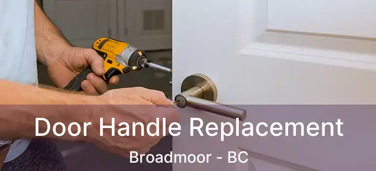  Door Handle Replacement Broadmoor - BC