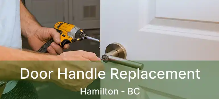  Door Handle Replacement Hamilton - BC
