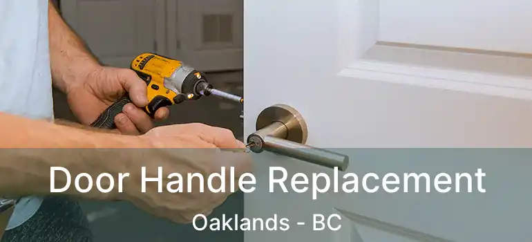  Door Handle Replacement Oaklands - BC