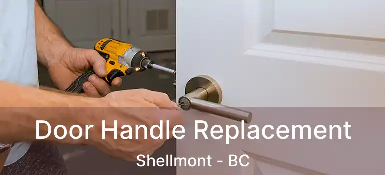  Door Handle Replacement Shellmont - BC