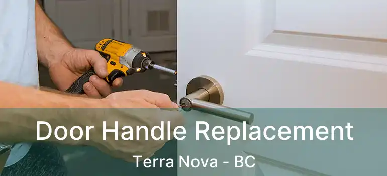  Door Handle Replacement Terra Nova - BC