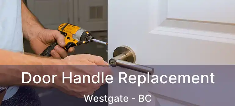  Door Handle Replacement Westgate - BC