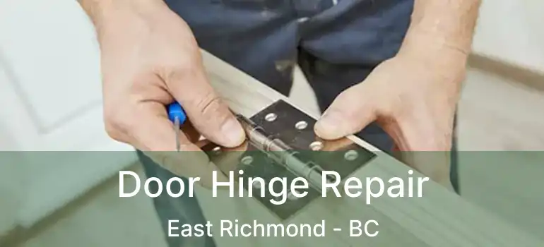  Door Hinge Repair East Richmond - BC
