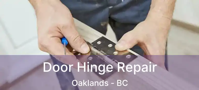  Door Hinge Repair Oaklands - BC