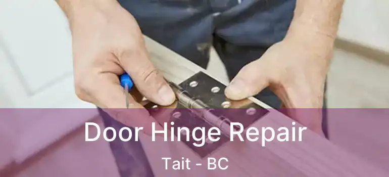  Door Hinge Repair Tait - BC