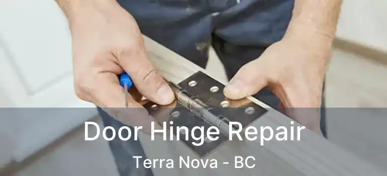  Door Hinge Repair Terra Nova - BC