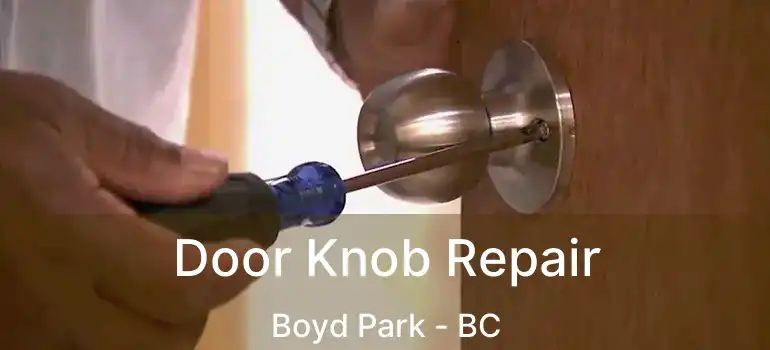  Door Knob Repair Boyd Park - BC