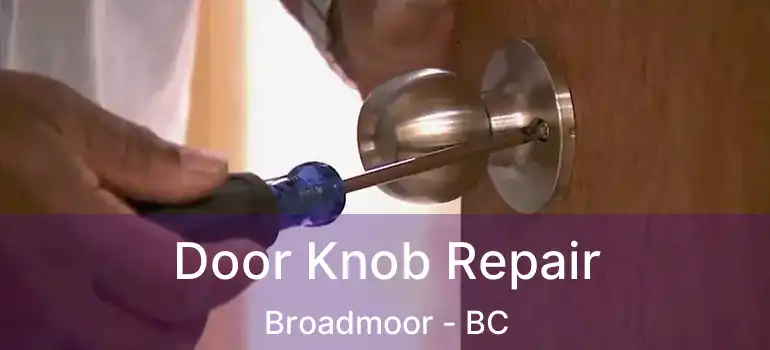  Door Knob Repair Broadmoor - BC