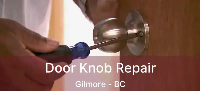  Door Knob Repair Gilmore - BC