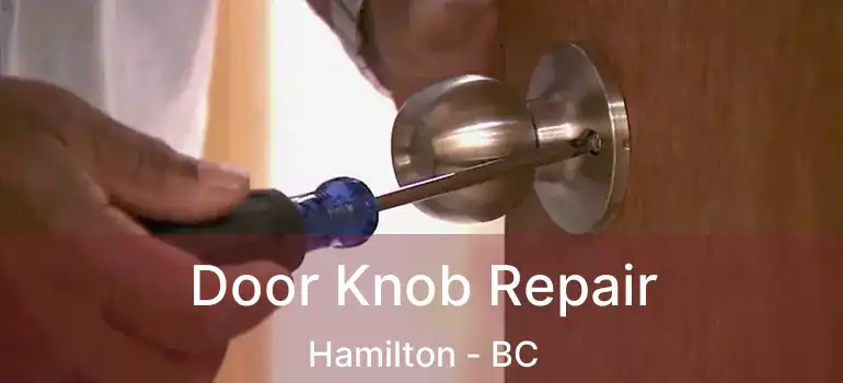  Door Knob Repair Hamilton - BC