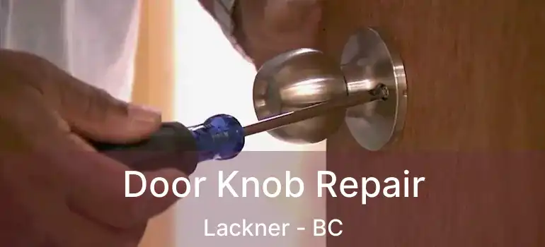  Door Knob Repair Lackner - BC