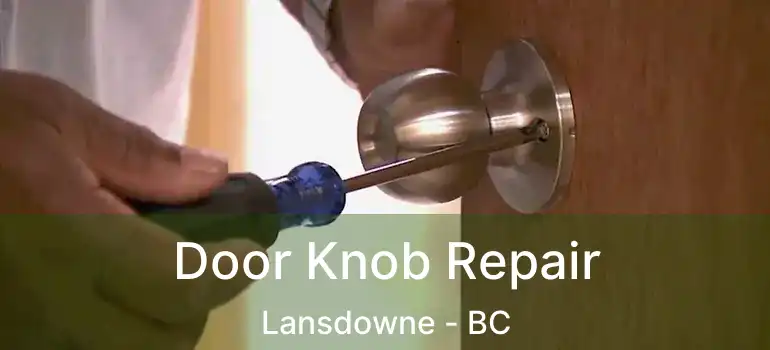  Door Knob Repair Lansdowne - BC