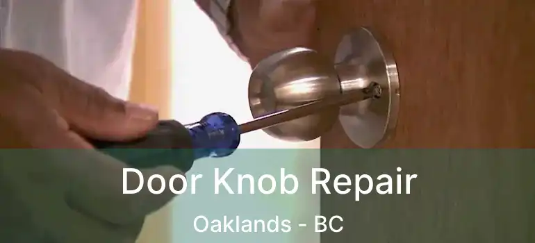  Door Knob Repair Oaklands - BC