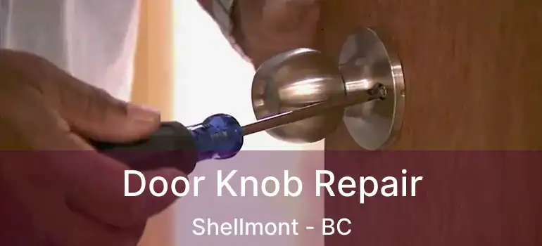  Door Knob Repair Shellmont - BC