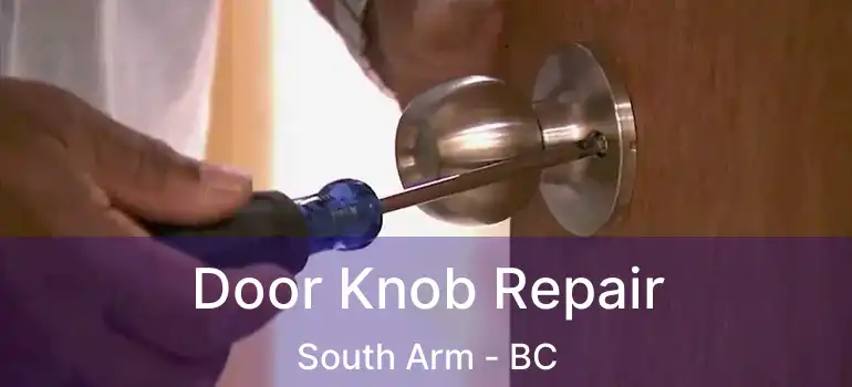  Door Knob Repair South Arm - BC