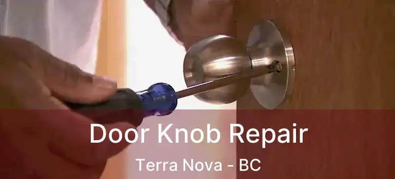  Door Knob Repair Terra Nova - BC
