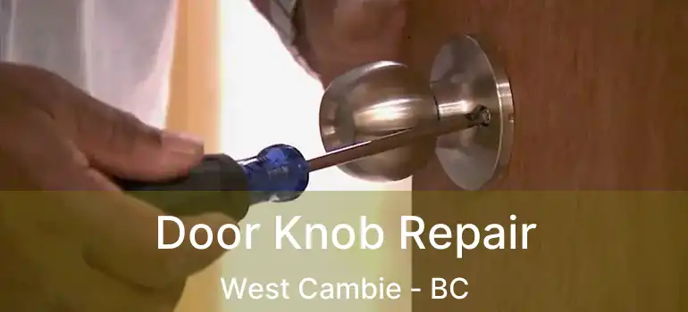  Door Knob Repair West Cambie - BC