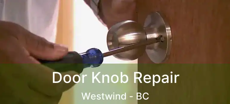  Door Knob Repair Westwind - BC