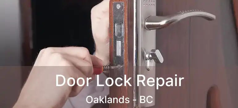  Door Lock Repair Oaklands - BC