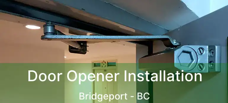  Door Opener Installation Bridgeport - BC