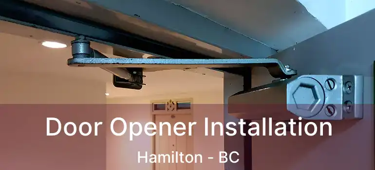  Door Opener Installation Hamilton - BC