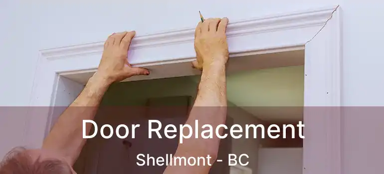  Door Replacement Shellmont - BC