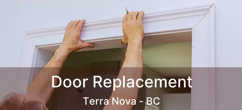  Door Replacement Terra Nova - BC