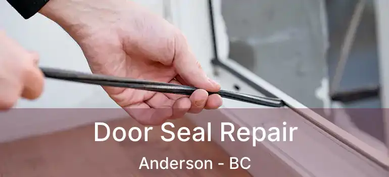  Door Seal Repair Anderson - BC