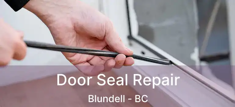  Door Seal Repair Blundell - BC