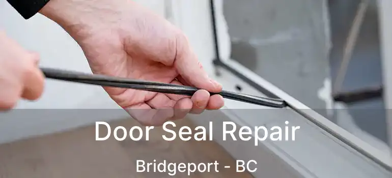  Door Seal Repair Bridgeport - BC