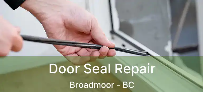  Door Seal Repair Broadmoor - BC