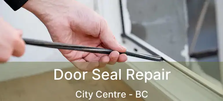  Door Seal Repair City Centre - BC