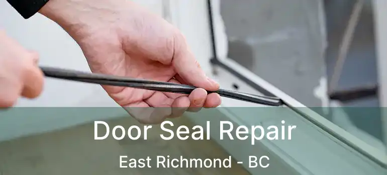  Door Seal Repair East Richmond - BC